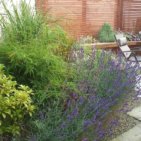 Affittacamere Carranross