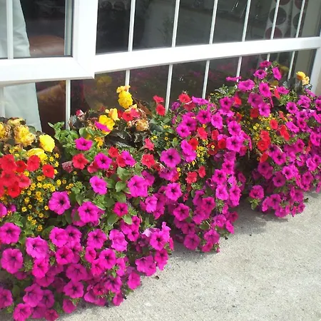 Carranross Affittacamere