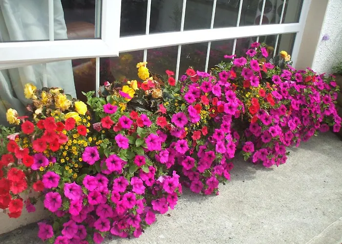 Carranross 게스트하우스